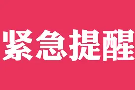 杭州市启用健康码大数据管理，弄虚作假的人将被纳入个人征信系统视频封面