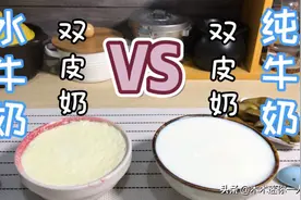 水牛奶双皮奶VS纯牛奶双皮奶，你喜欢哪种？【迷你一人食】视频封面