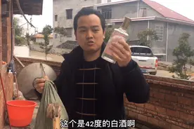 农村小伙给鸭子喝了42度的白酒之后，鸭子醉了站都站不稳