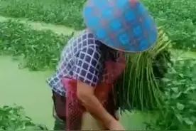 普及下知识点，记下，会考！！视频封面