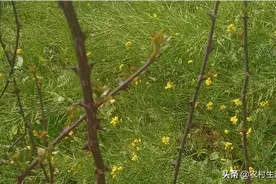 花花世界只是一瞬间，多愁善感是凡人。图片