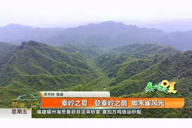 快来观看陕西都市快报分享的视频视频封面