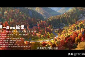 好听的MV《我一直都在这里》视频封面