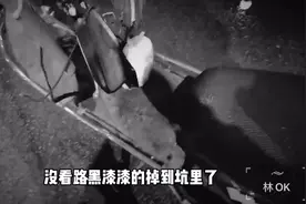 温州封城冷清的工业区 外卖哥：特殊时期半夜就不要点外卖了 吓人视频封面