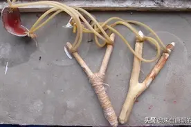 80后山东农村娃娃的童年记忆图片