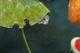 等等等等等视频封面