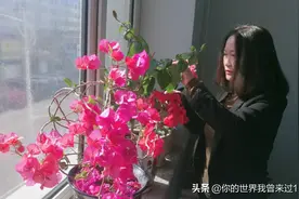 花一样的女人图片