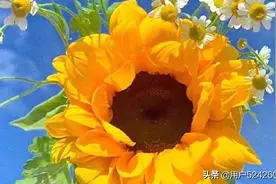 思念是一种病图片