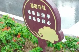似曾相识燕归来，小园香径独徘徊。走在大街上，享受生活烟火气。图片