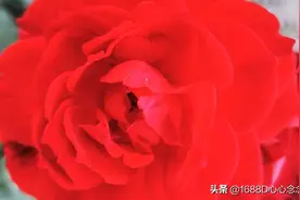 往昔峥嵘岁月图片