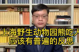 上海野生动物园熊吃人，应有普遍反思：不能只看利益，不顾安全！视频封面