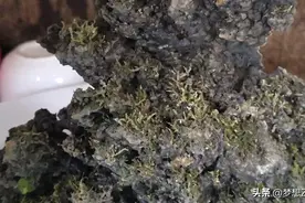 陕北吸水石！图片