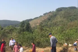 玉氏开族祖坟视频封面