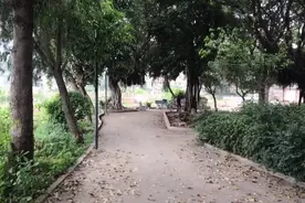 每天半个小时经常晨跑，效果多多，小江今天8点多仍然坚持视频封面