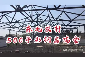东北农村盖鸡舍，500平彩钢房，8700只容量，猜猜花多少钱？