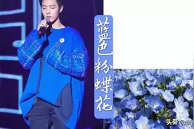 论肖战与鲜花的适配度图片