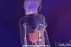 胎儿的血液循环