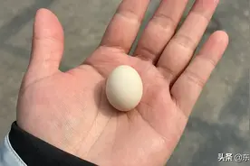 浓缩的都是精华图片