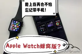 900收来的Apple Watch蜂窝版，有这个再也不怕忘带手机！苹果手表视频封面