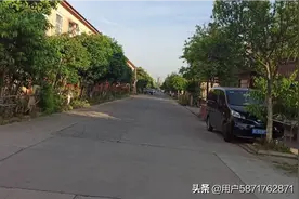 某年某月的某天图片