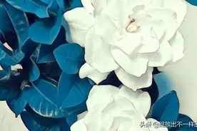 青春？是年少无知的你和我，奋不顾身往前冲——憧憬美好的未来。图片