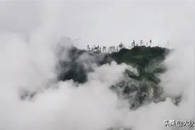 最美的林芝，来亦此时，别亦此时，心心念念，朝朝暮暮！图片