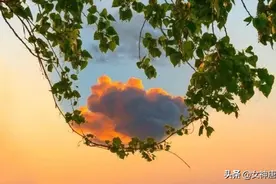天意就是命运图片