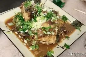 笨蛋小姨子手把手教大家做红烧黑鱼，孩子爱吃，营养美味，真拉馋
