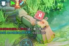 国服李白求针对，结果被打的亲妈都不认识，李白：下手太狠了视频封面