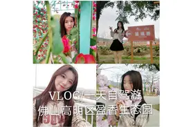 佛山高明区盈香生态园一天自驾游视频封面