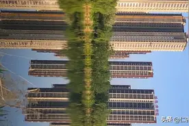 春天过去了，夏天即将到来图片