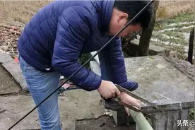 自己动手，丰衣足食图片