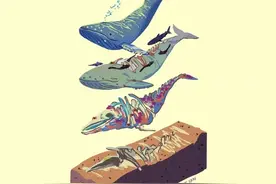“巨鲸落，万物生”，温柔的巨兽化身为海底的绿洲图片