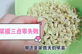自己在家生黄豆芽，掌握3点0失败，学会再也不用买，4天就能吃！视频封面