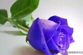 缘分天注定，无缘了就放手图片