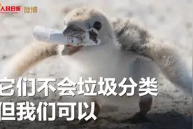 为什么要推行垃圾分类？视频会给你答案视频封面