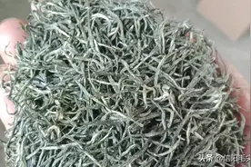 不是所有毛尖都叫信阳毛尖。图片