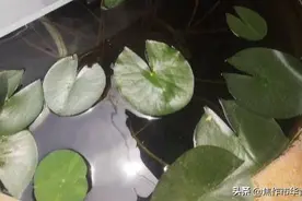 钢琴调律闲余时光图片