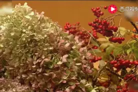 小泽征尔最后一次指挥视频封面