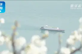 春风桃李花开日，夹岸缤纷衬巫峡视频封面