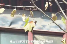 大龄绝症亲人放弃治疗，这件事你如何看待？视频封面