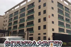 东莞塘厦最大的电子厂：日本电产4500到6000没有工作的朋友看看视频封面