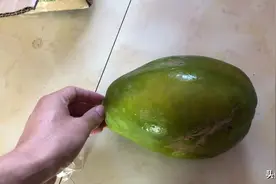 东北的天真冷啊，快递的水果都冻了，有人知道冻掉的木瓜可以吃吗