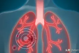 病毒传播是如何通过接触和媒介传播的，一个视频教你看懂。视频封面
