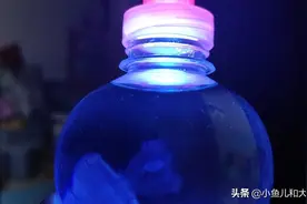 万达的海洋王国图片