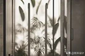 【商业】透过雾化处理的玻璃，普通的植物也可以制造出这样的意境图片