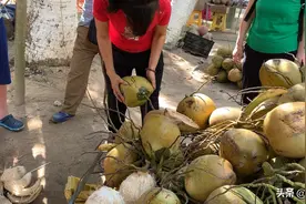 美女剥椰子全过程视频封面