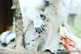 日本闺蜜打卡地推荐の 1图片