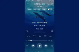 歌《我还有点小糊涂》刘晨唱视频封面
