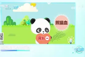 【什么是“熊猫血”？有啥遗传规律？一起来看看！视频封面
